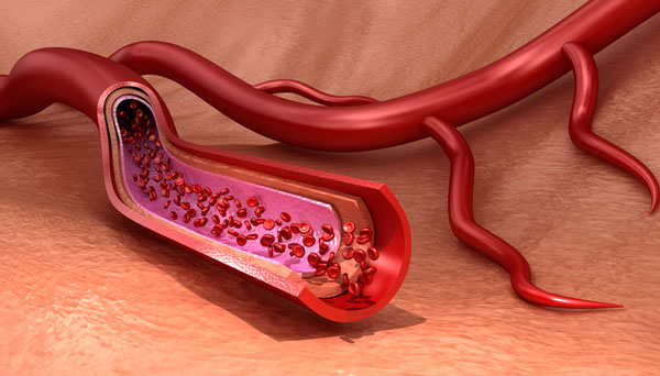 blood vessel graphic