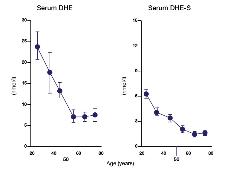 graph showing DHEA going down