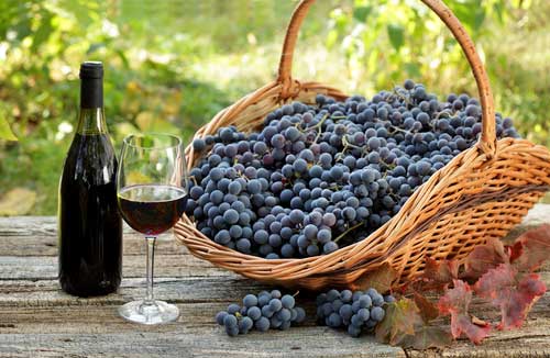 basket of grapes, wine bottle, and glass of wine on a picnic table