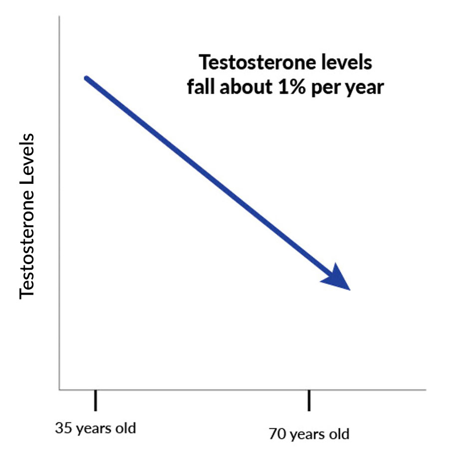 Chart showing testosterone decrease