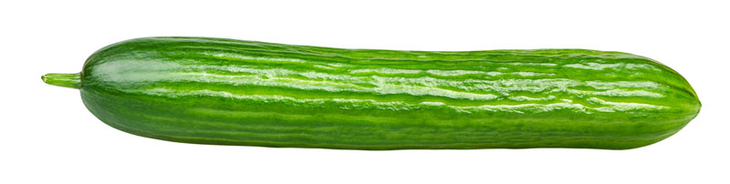 cucumber